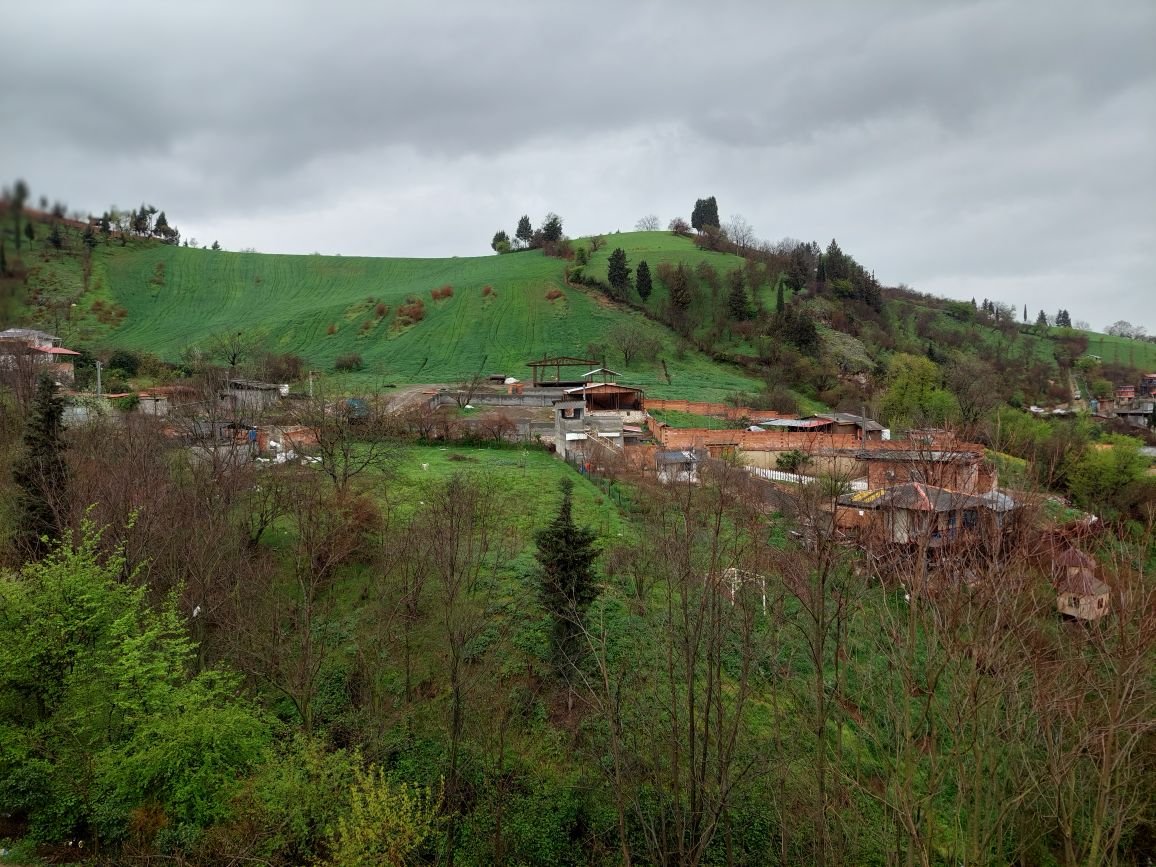 ویلا دوخوابه جنگل صدقی - نمای پنجره پذیرایی