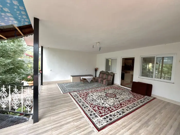 فلت جنگلی مسعود - تراس 