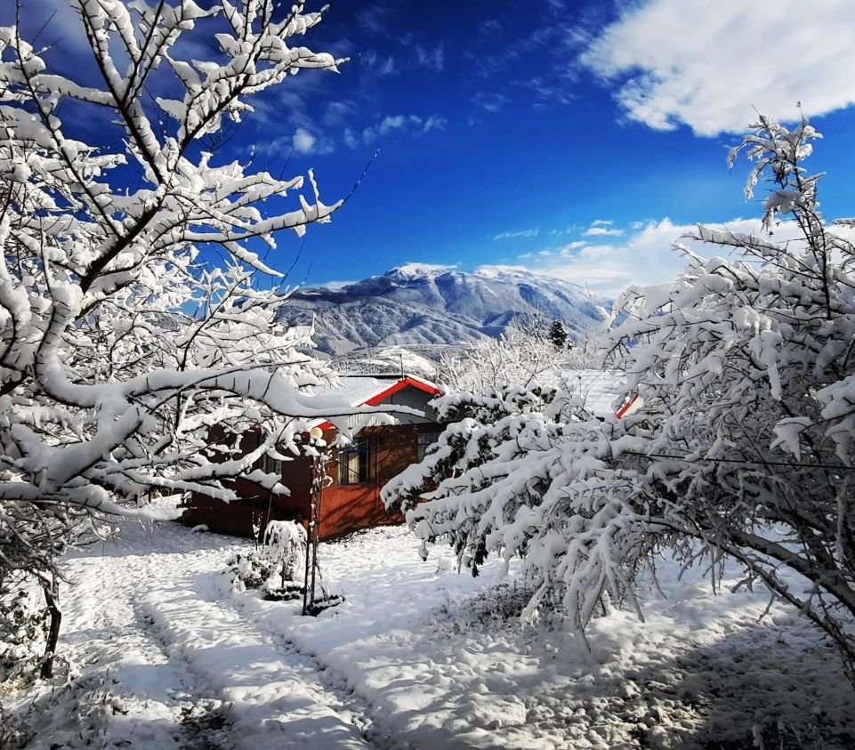 یک خوابه قنبری