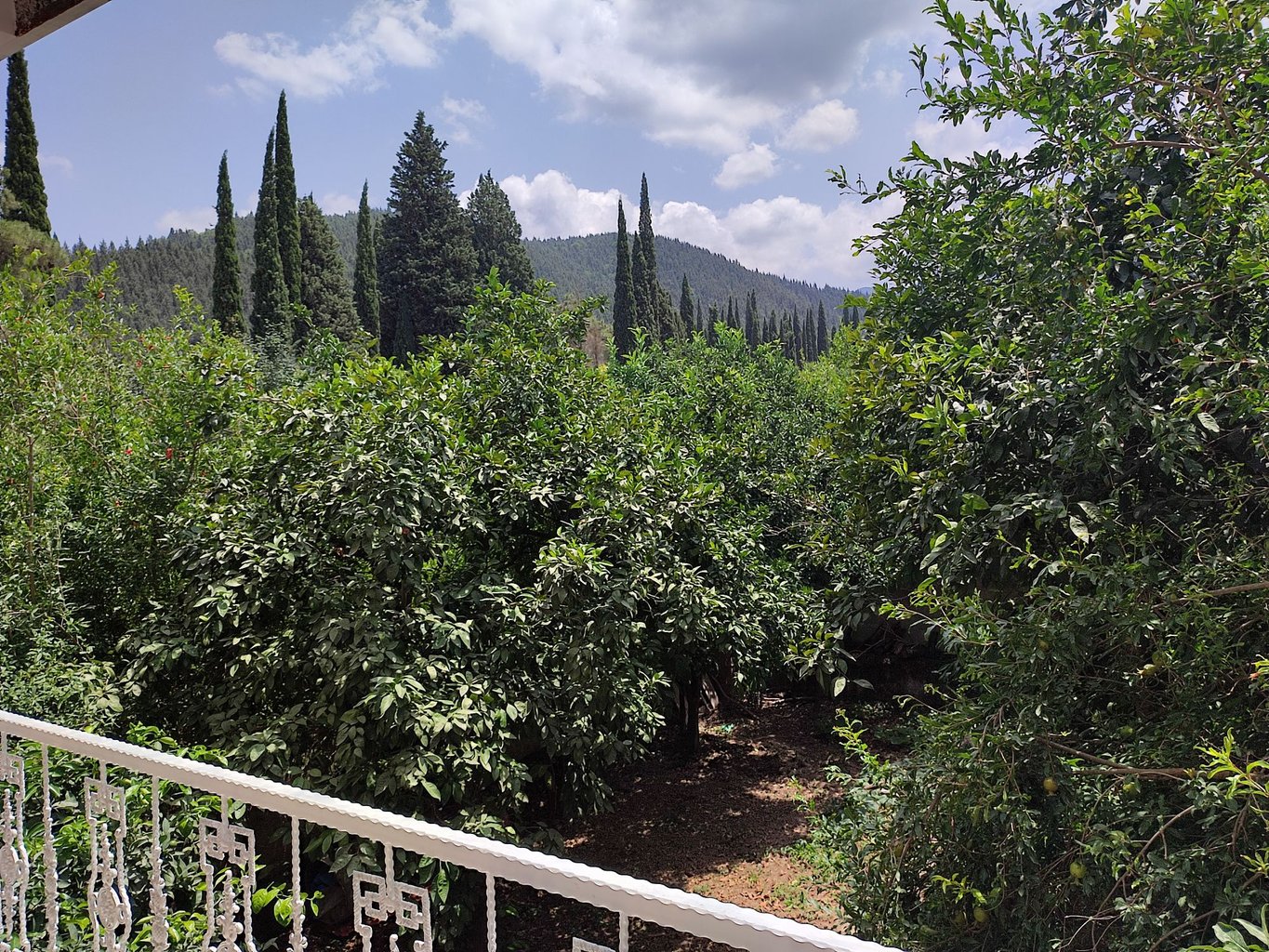 آپارتمان دوخوابه جنگلی عباس آباد