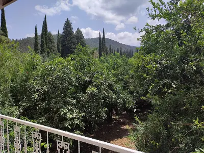 آپارتمان دوخوابه جنگلی عباس آباد