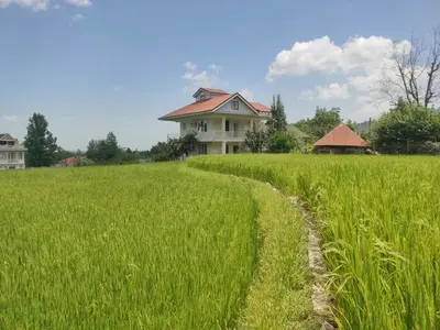 ویلا دوخوابه جنگلی آسمان 1