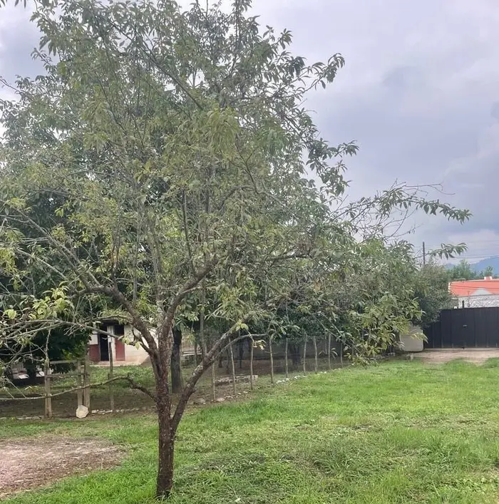 سوئیت یک خوابه دنج بهار