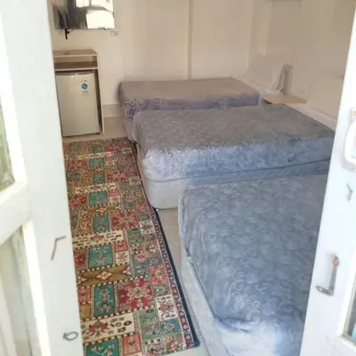 بومگردی مامس - واحد شاکر 205