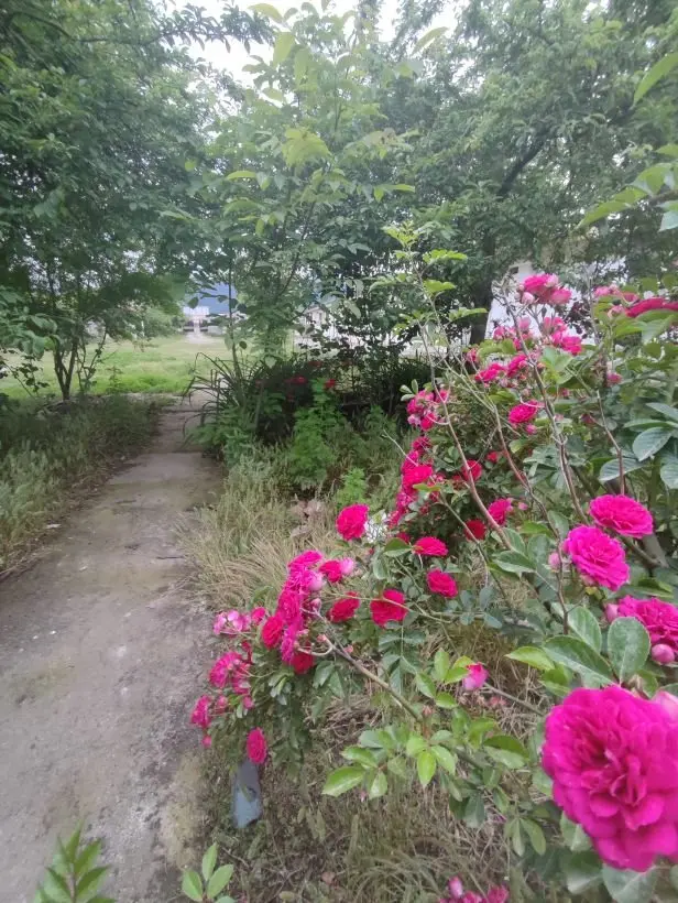 بوم گردی ونوس - واحد 8