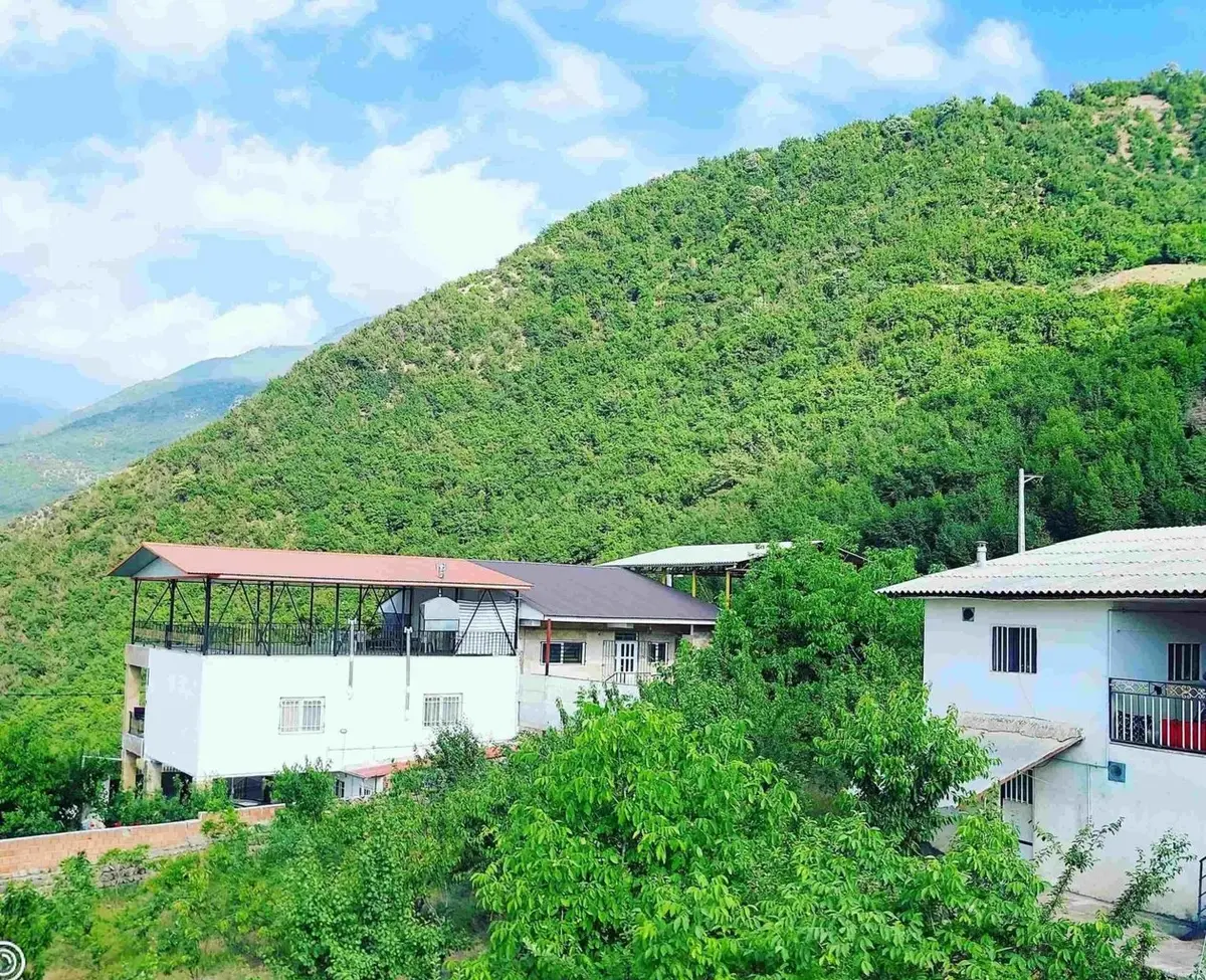 فلت کوهستانی فردوس 1