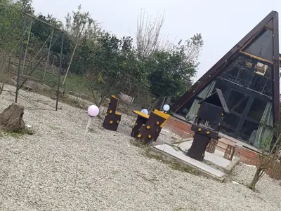 کلبه یک خوابه جنگلی سوئیسی کوی طبیعت