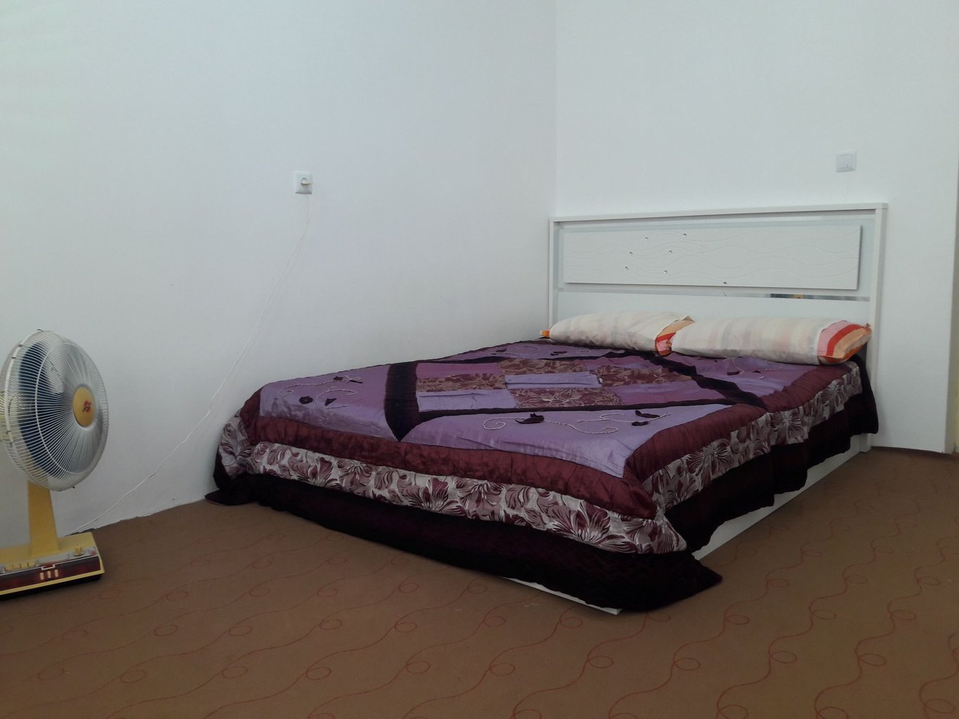 یک خوابه پویا 1