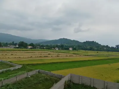 سوئیت فلت جواد 3