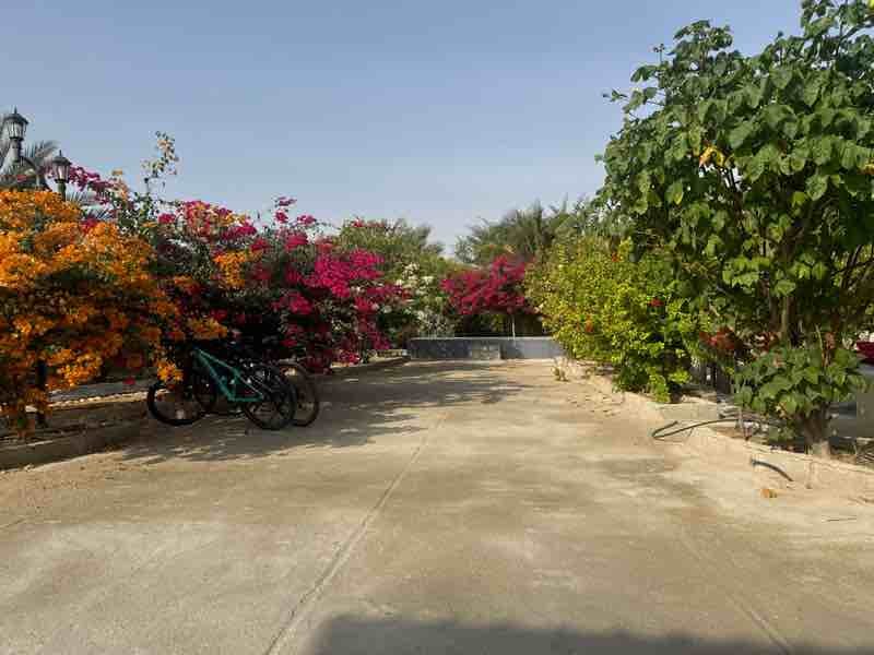 بومگردی چَهنو - واحد آزاد