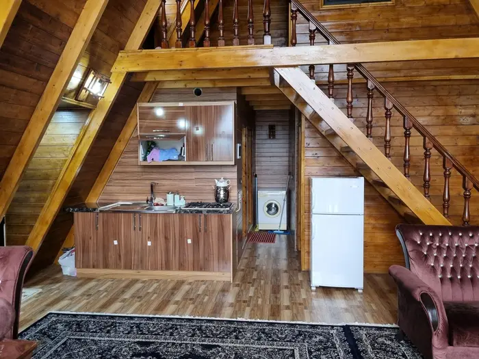 کلبه سه خوابه سوئیسی استخردار آبگرم وولی تو