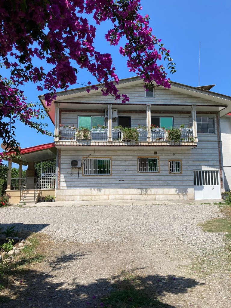 دوخوابه جنگلی دلباز