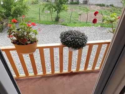 کلبه دوخوابه جنگلی دل نشین