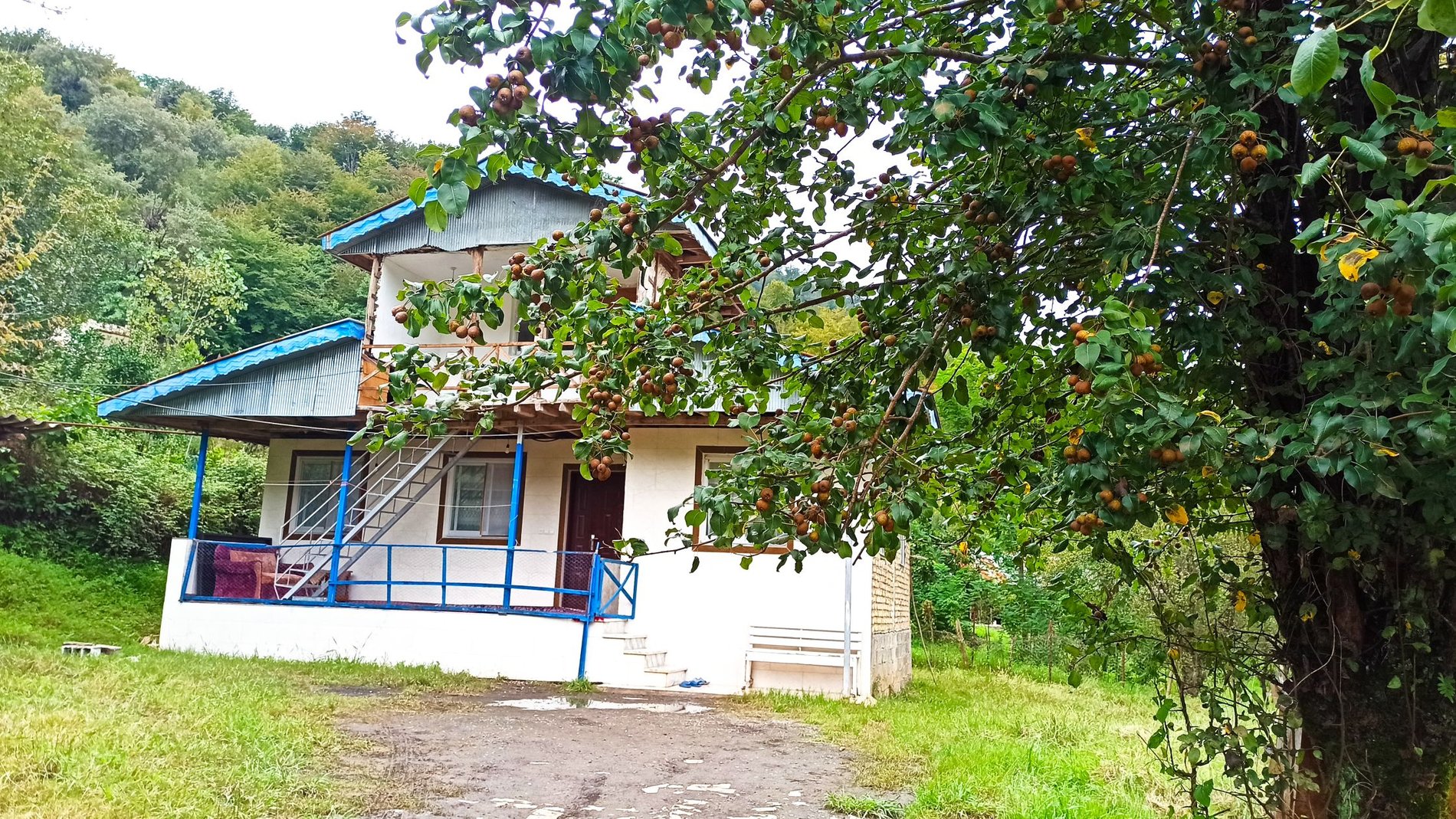 دوخوابه جنگلی کورش 1