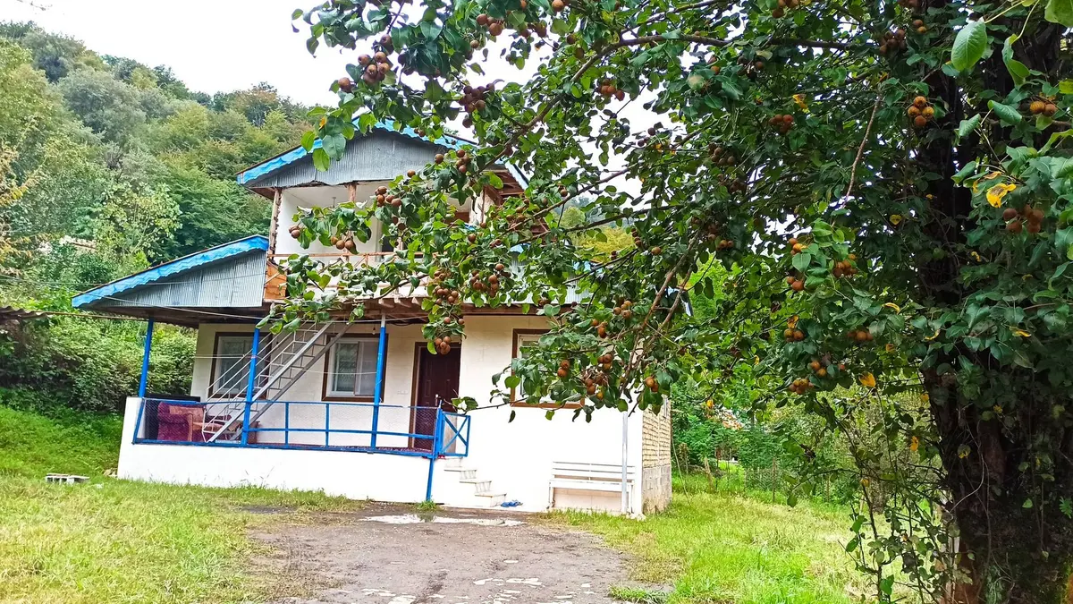 ویلا دوخوابه جنگلی کورش 1 - نمای ورودی