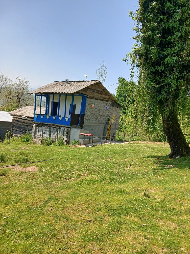 کلبه فلت رحمانی 1