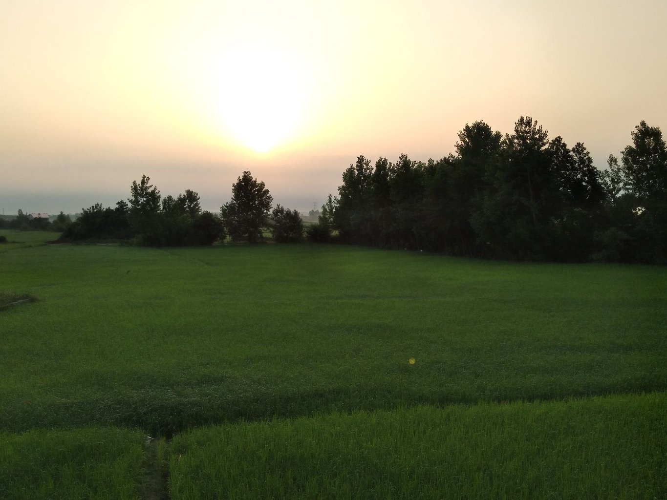 ویلا دوخوابه خانه ات آباد