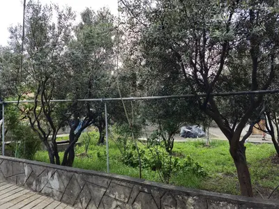 سوئیت فلت باغ عمو ایرج