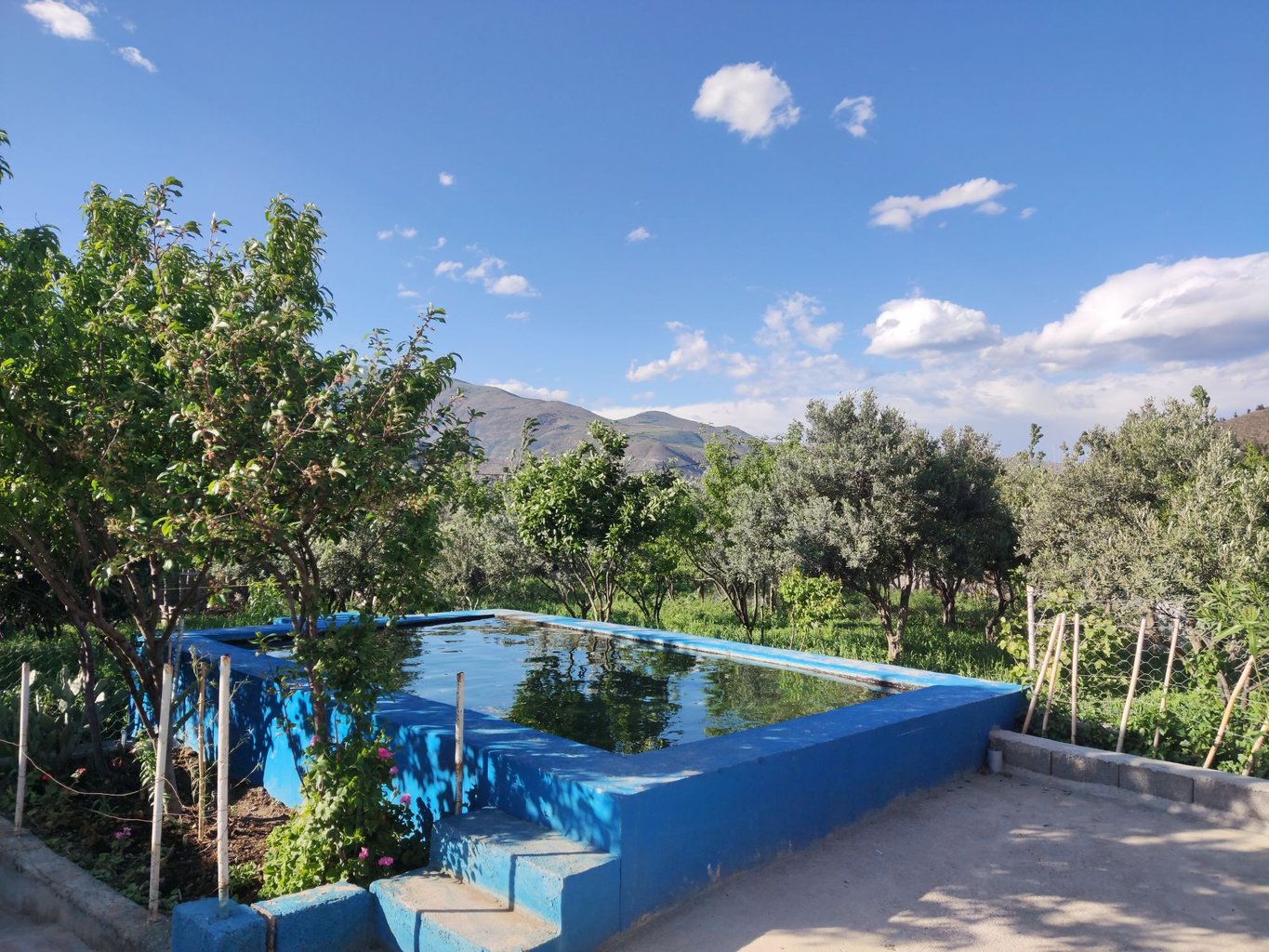 ویلا یک خوابه استخردار باغ عمو ایرج