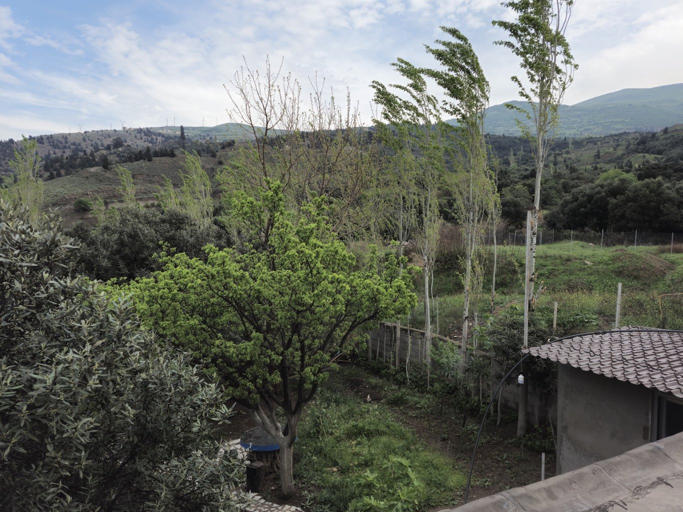 ویلا باغ فلت عمو ایرج