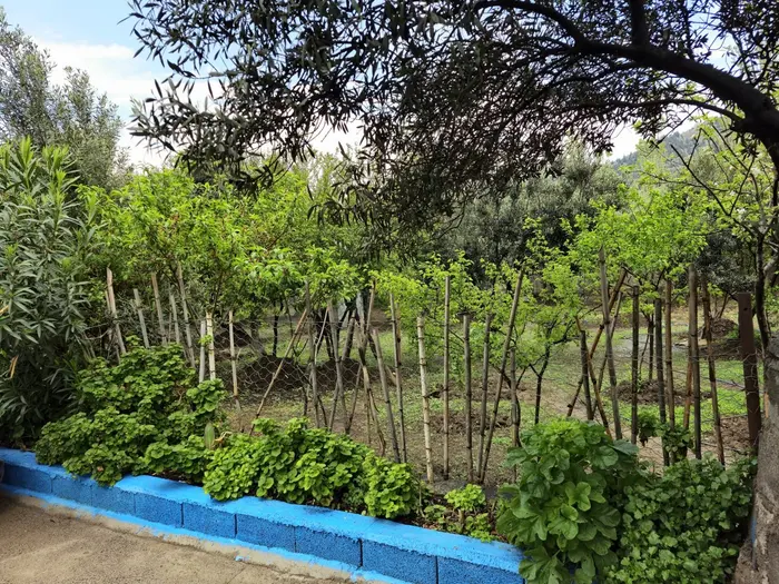 سوئیت ویلا باغ فلت عمو ایرج