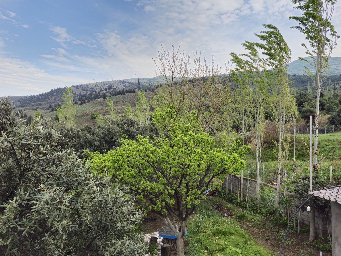 ویلا باغ فلت عمو ایرج