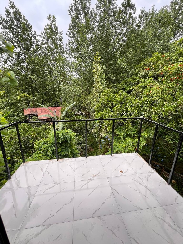 کلبه یک خوابه سوئیسی جنگلی شاهان
