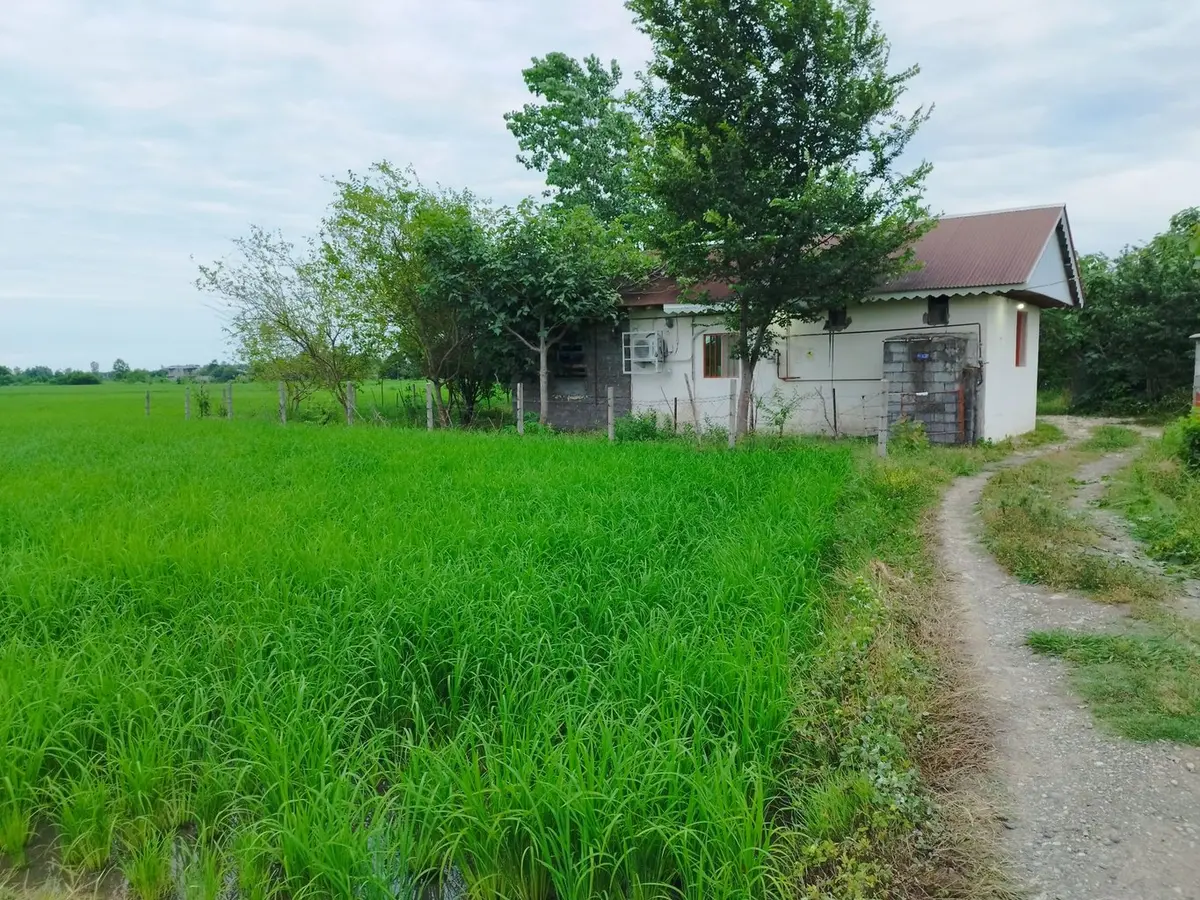 سوئیت فلت آلالان - نمای بیرونی