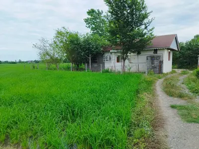 سوئیت فلت آلالان