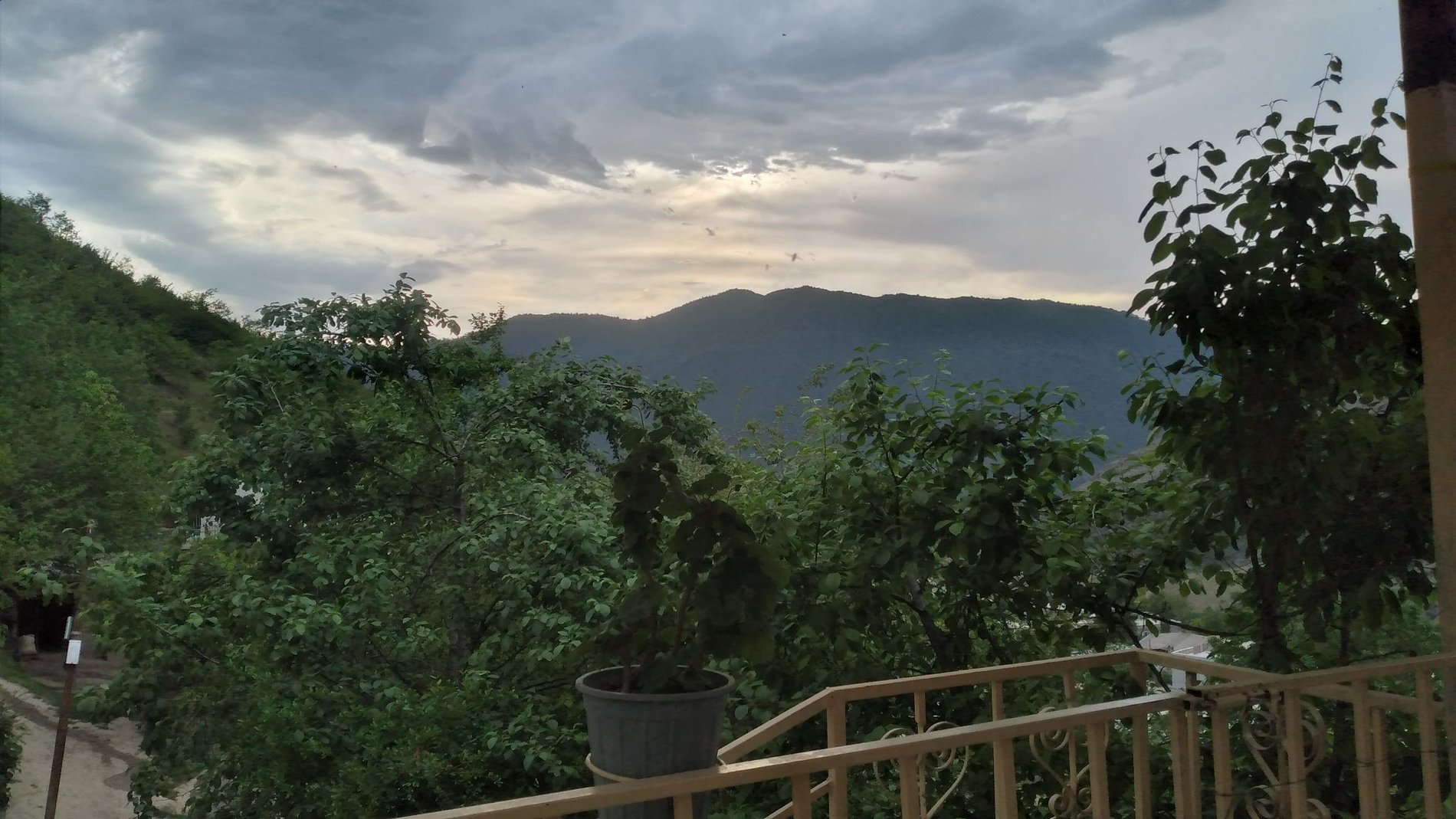 یک خوابه روستایی گندم