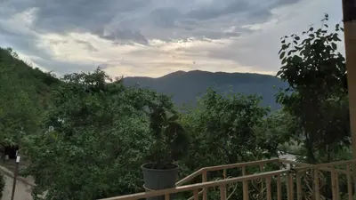 ویلا یک خوابه روستایی گندم