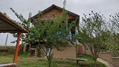 بومگردی تمیشه - واحد دلبر