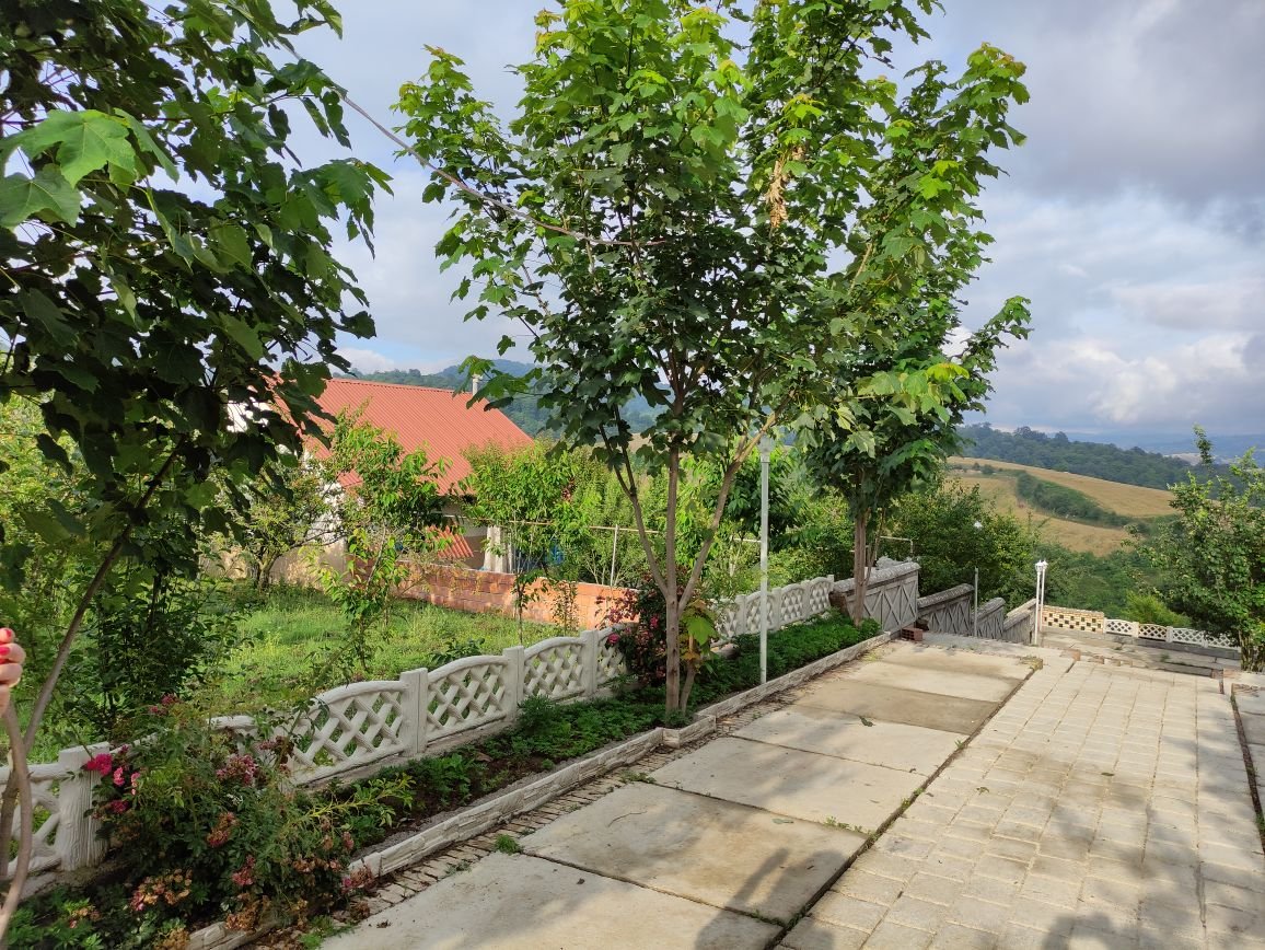 تمیشه - واحد دلبر