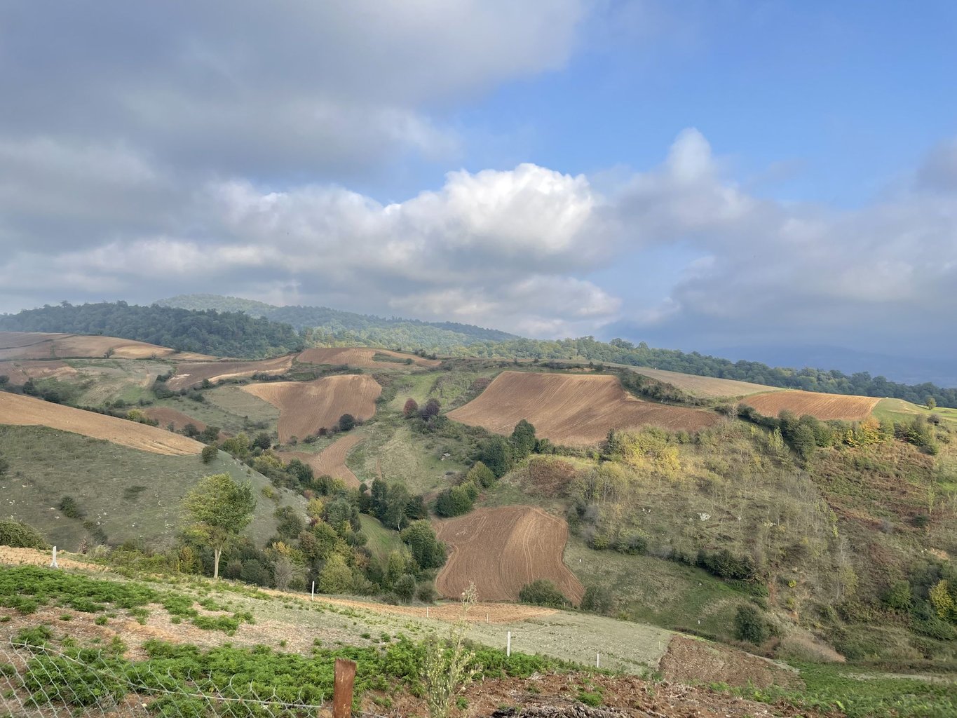 یک خوابه تمیشه - واحد تیکا