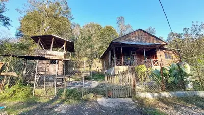 کلبه یک خوابه جنگلی افرا 14