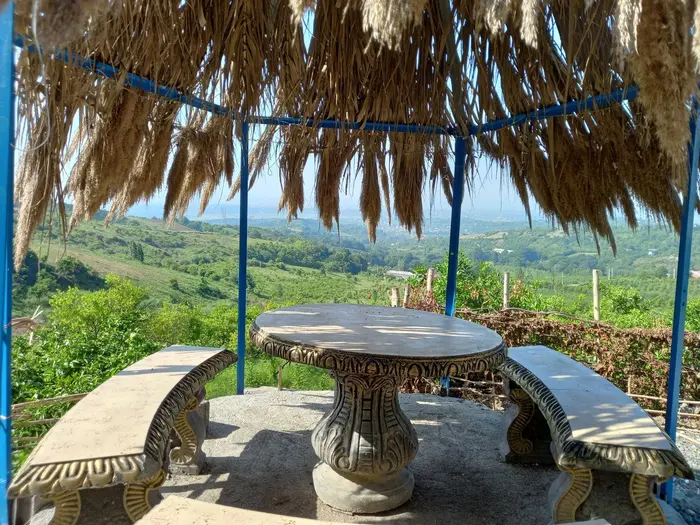 کلبه یک خوابه جنگلی بالی