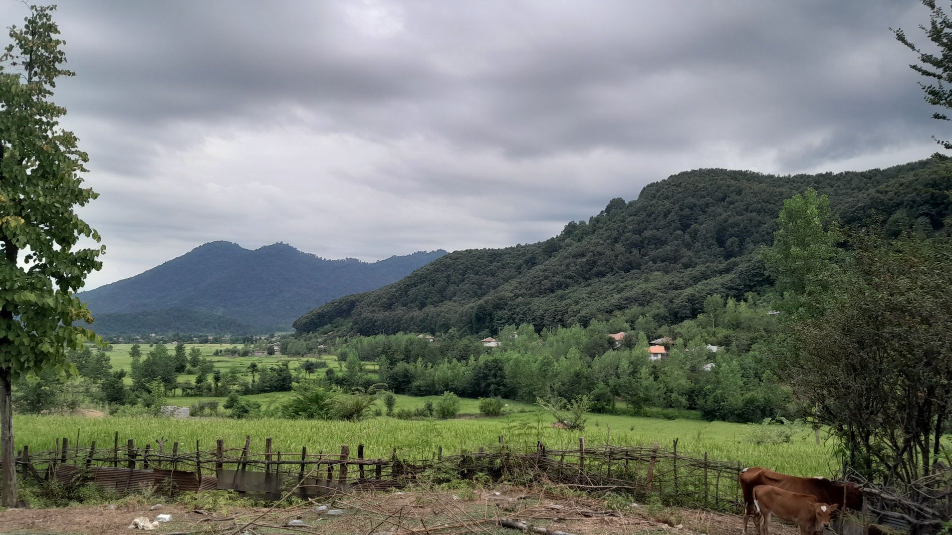 اجاره ویلا دوخوابه جنگلی اهکلان ماسال