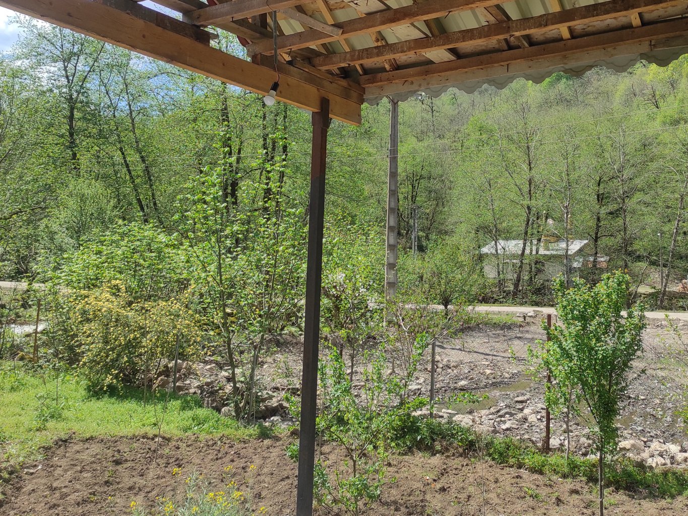 سوئیت فلت آوین