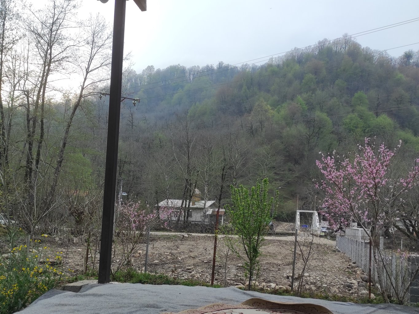 سوئیت فلت آوین