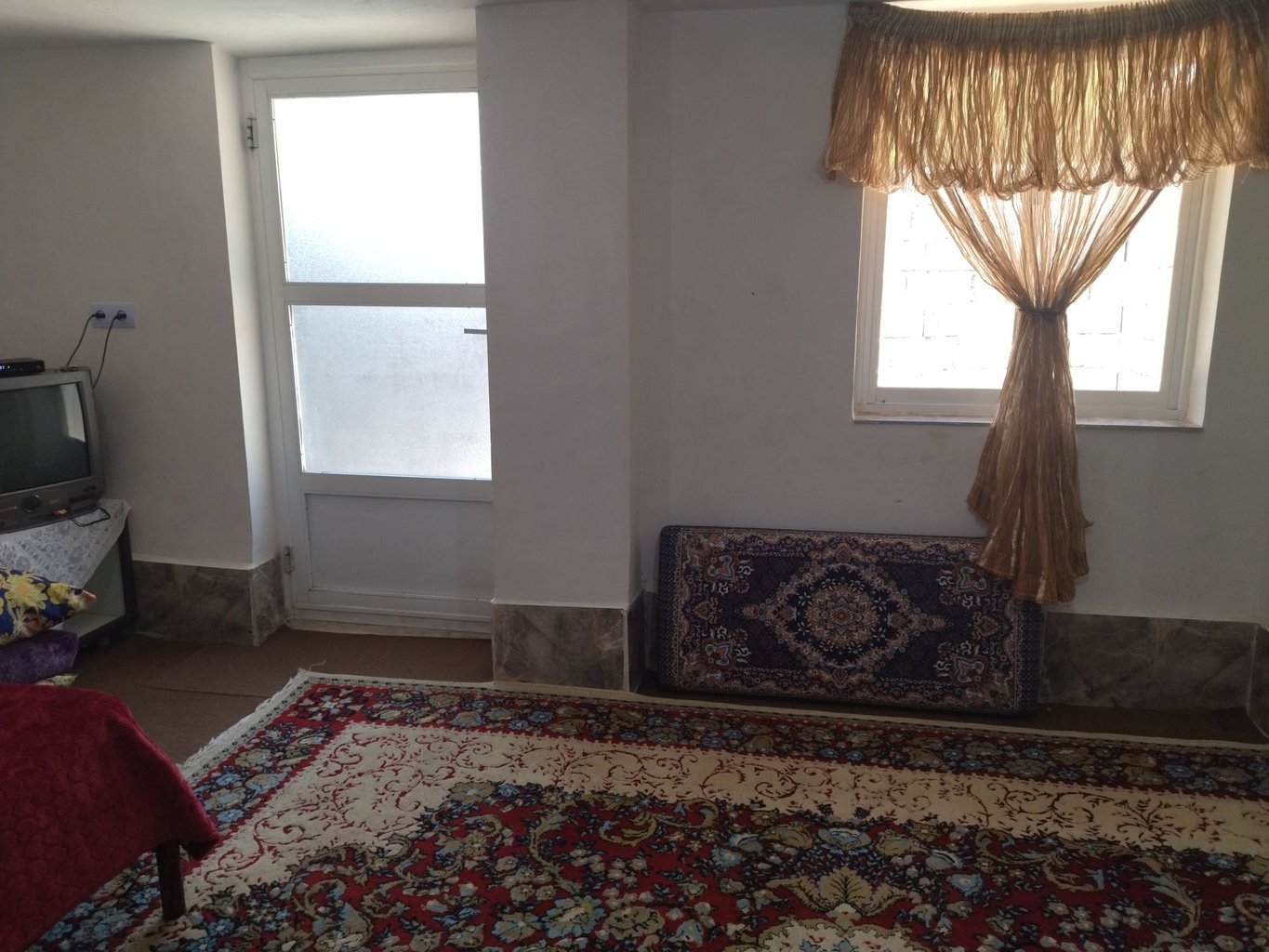 فلت همیشه بهار