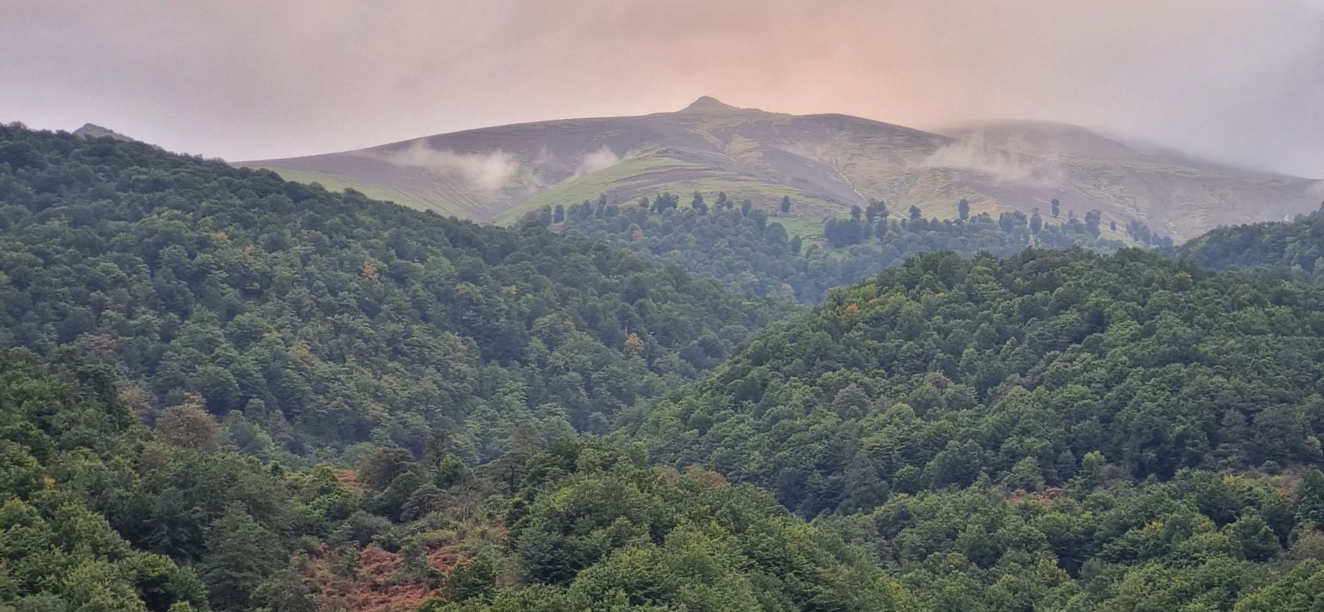 آپارتمان یک خوابه ساعی 1