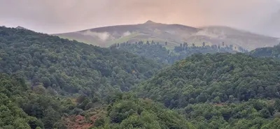 آپارتمان یک خوابه ساعی 1