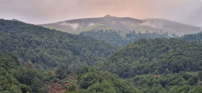 آپارتمان یک خوابه ساعی 1