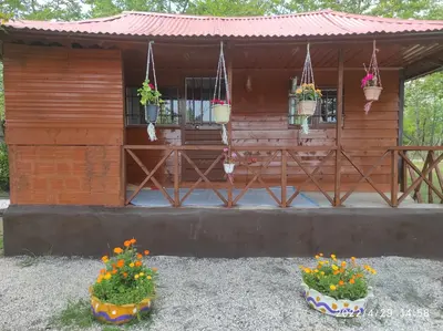 کلبه یک خوابه رامینه 1