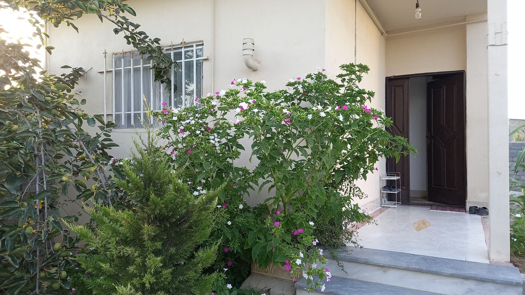 یک خوابه مانیا