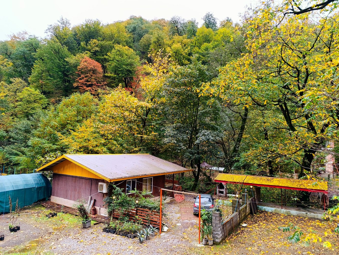 دوخوابه چوبی بَرسام