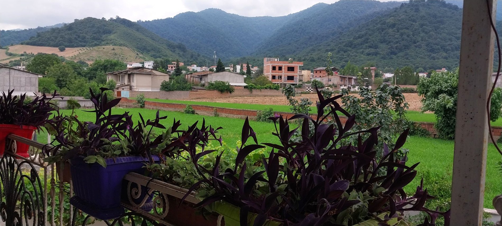 سوئیت یک خوابه نومل امیر