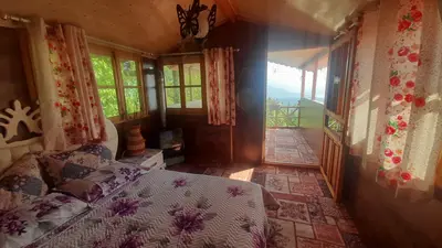 کلبه یک خوابه جنگلی آرامش لفور