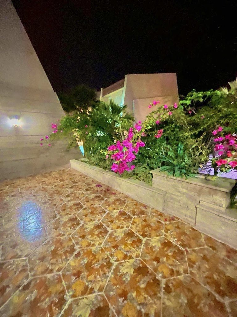 یک خوابه ساحلی مرجان 1