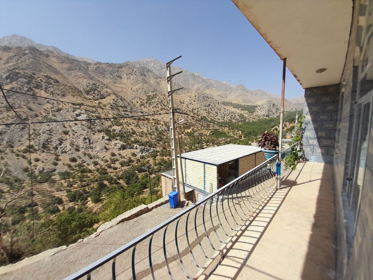 دوخوابه عابد سعدی